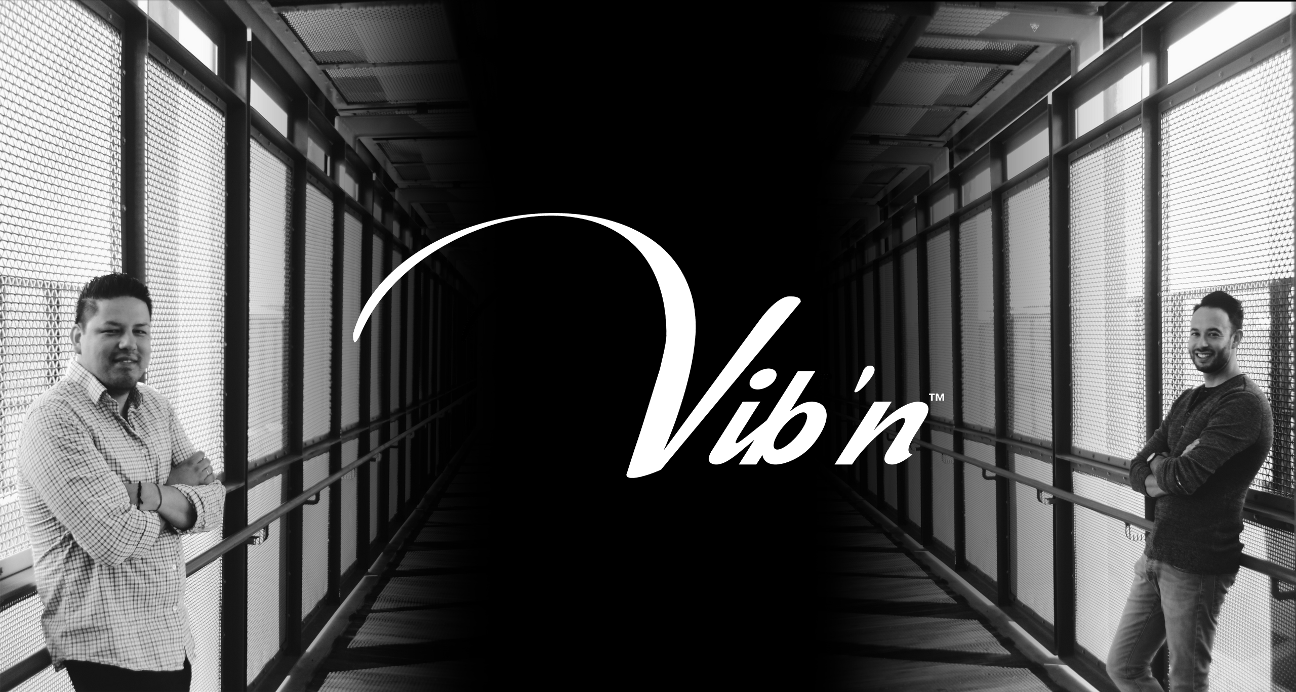 Vibn logo tucson
